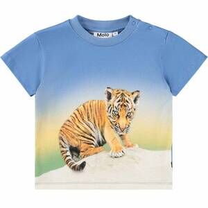 NEW MOLO boys enzo tee in tiger cub